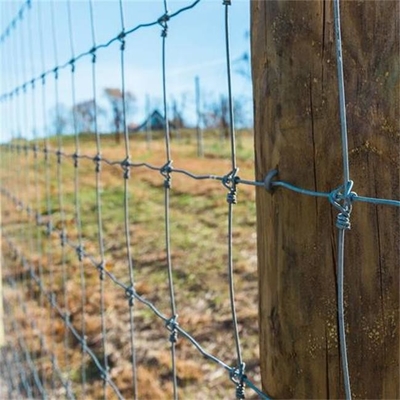 ISO9001は金網の塀200m/Rollを耕作している牛に電流を通した