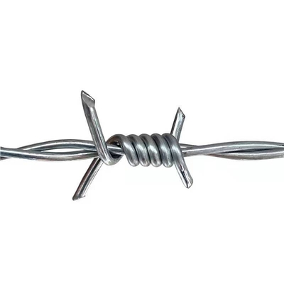 TLWYの鉄はISO9001を囲うかみそりの有刺鉄線に電流を通した