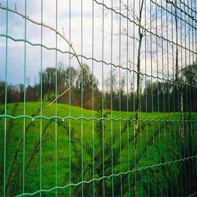 TLWYポリ塩化ビニールは9.0mmオランダの塀を囲う溶接された網に塗った