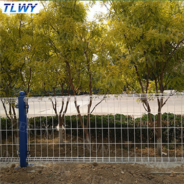 中国Anping TLWYは粉30年の工場二重ワイヤー安全塀に塗った